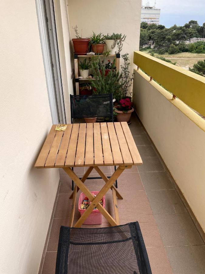 Apartment Todorovic - Macan Pula Eksteriør billede